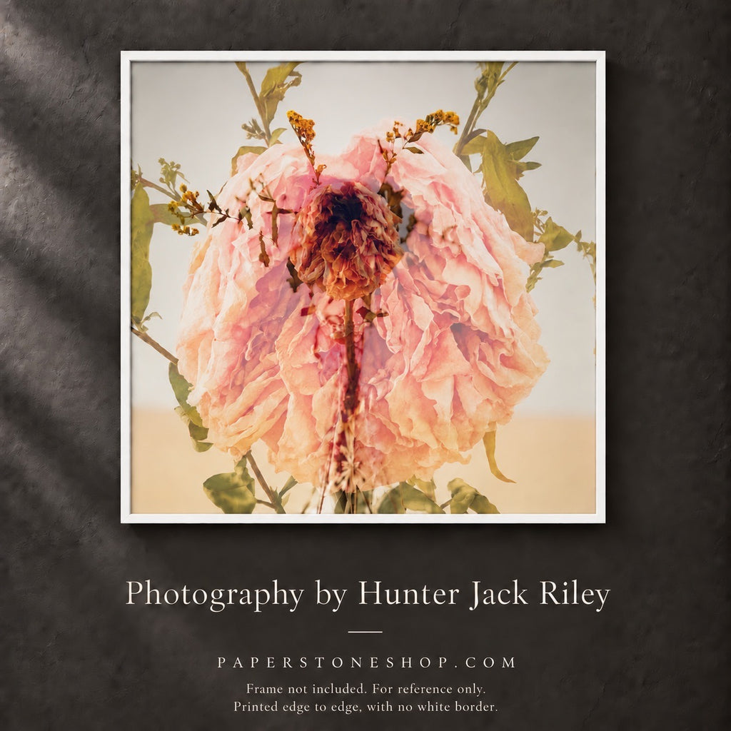 FLORAL DECAY No. 3 (Bright) By Hunter Jack Riley | 12”x12”