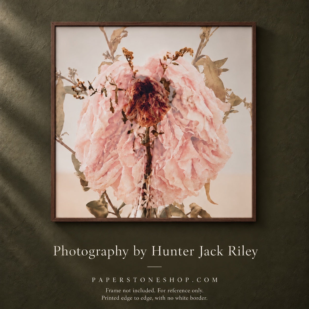 FLORAL DECAY No. 1 (Light) By Hunter Jack Riley | 12”x12”