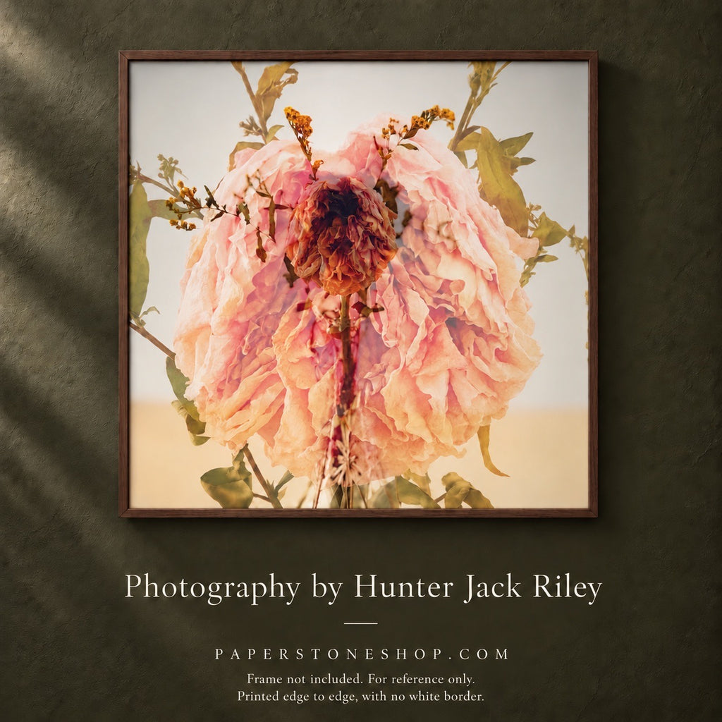 FLORAL DECAY No. 3 (Bright) By Hunter Jack Riley | 12”x12”