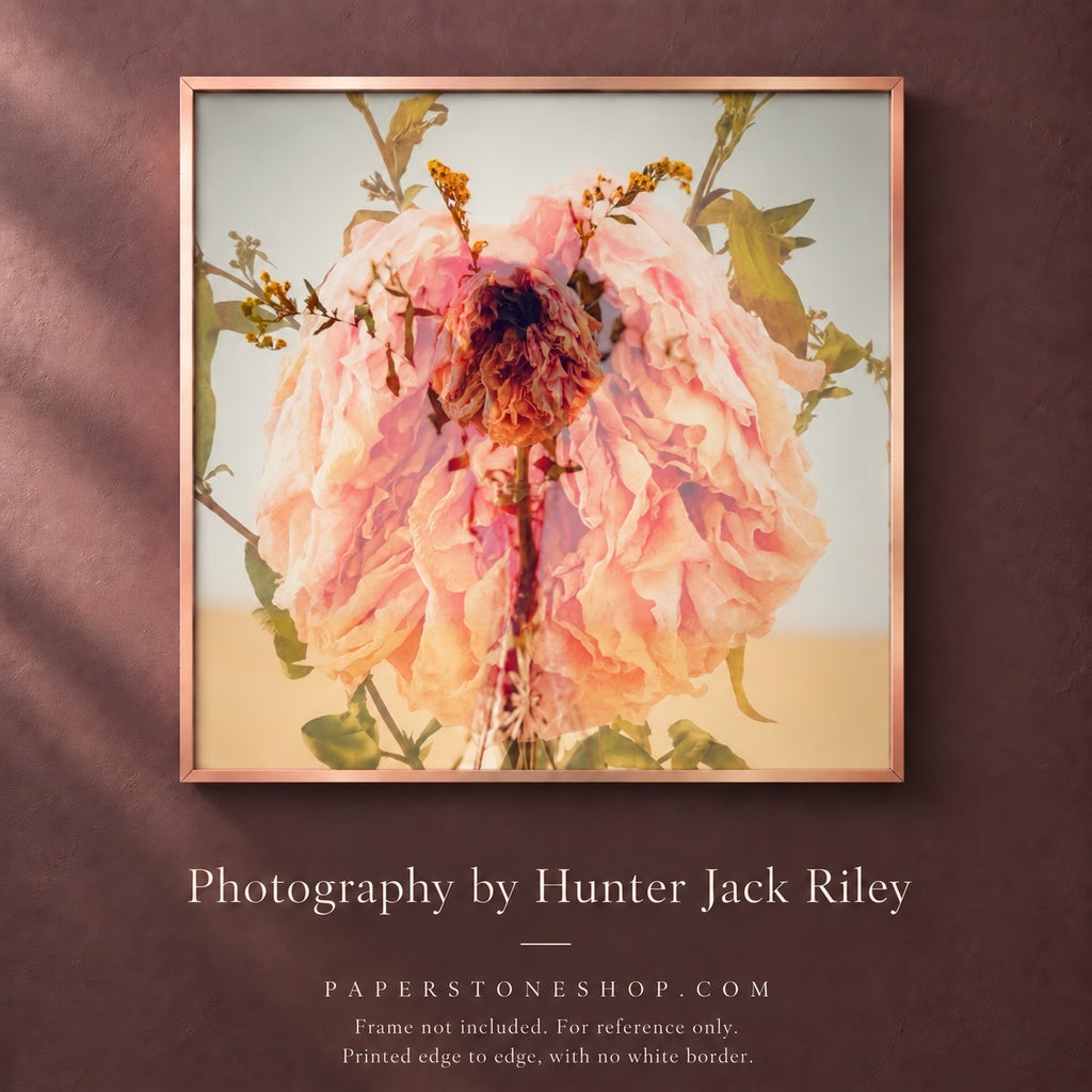 FLORAL DECAY No. 3 (Bright) By Hunter Jack Riley | 12”x12”