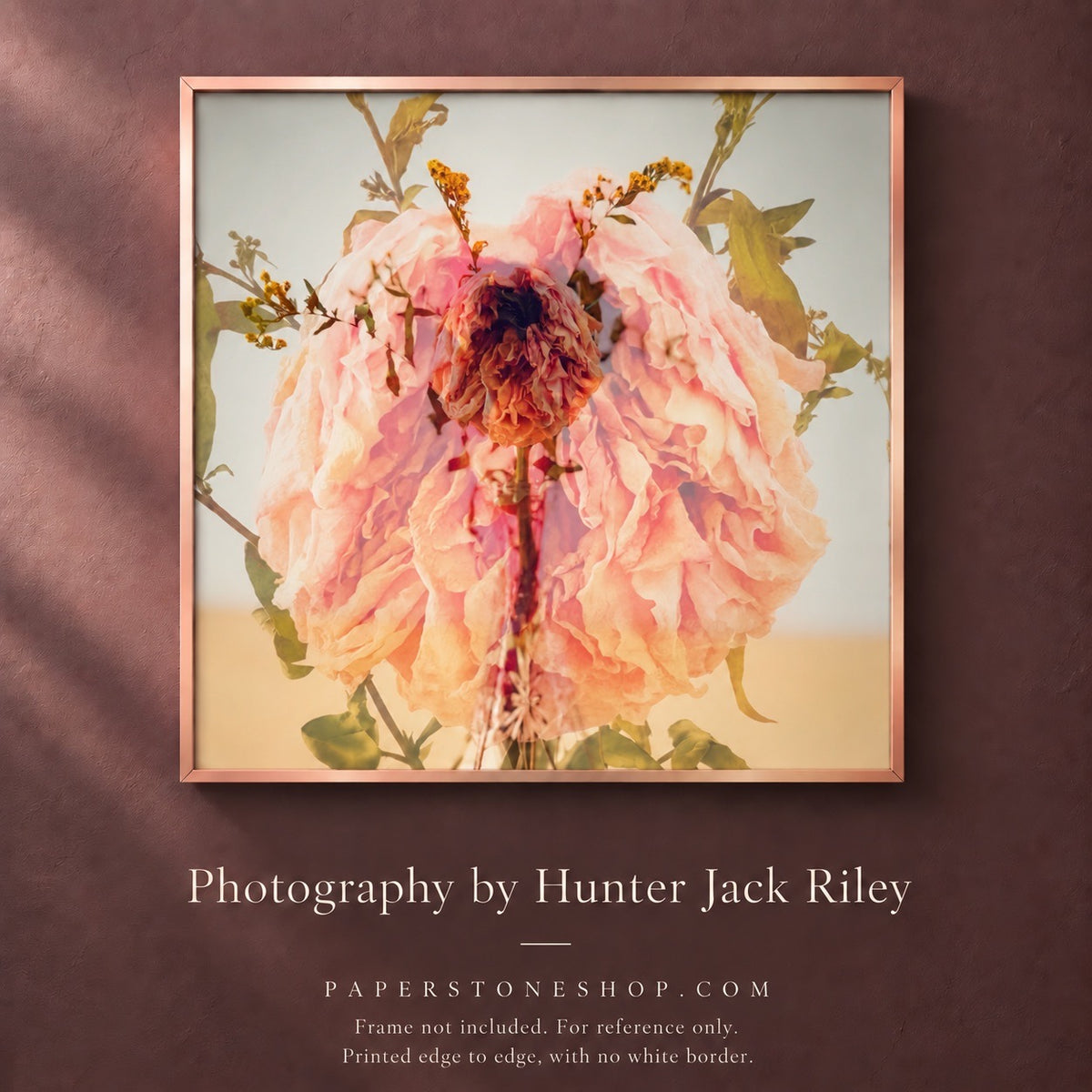 FLORAL DECAY No. 3 (Bright) By Hunter Jack Riley | 12”x12”