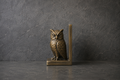 Found Object No.0010.26, New York City, Brass owl bookend