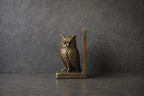 Found Object No.0010.26, New York City, Brass owl bookend