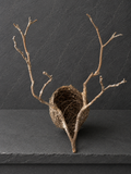 Found Object No. 0014.26 Catskills, NY Bird's Nest