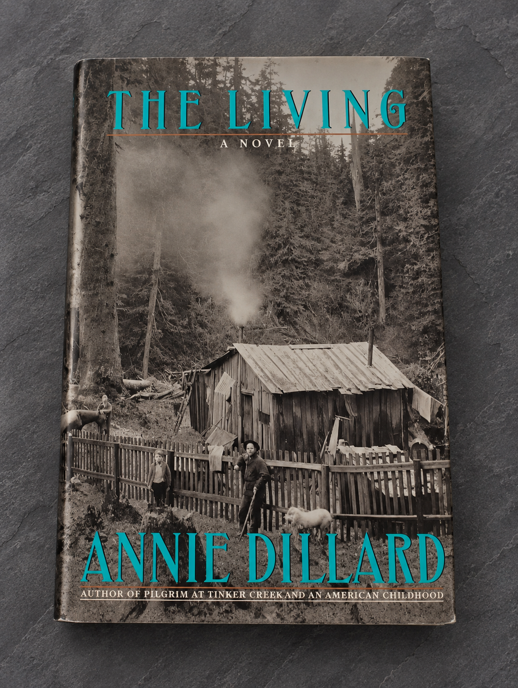 Found Object No.0049.26, New Orleans, The Living by Annie Dillard