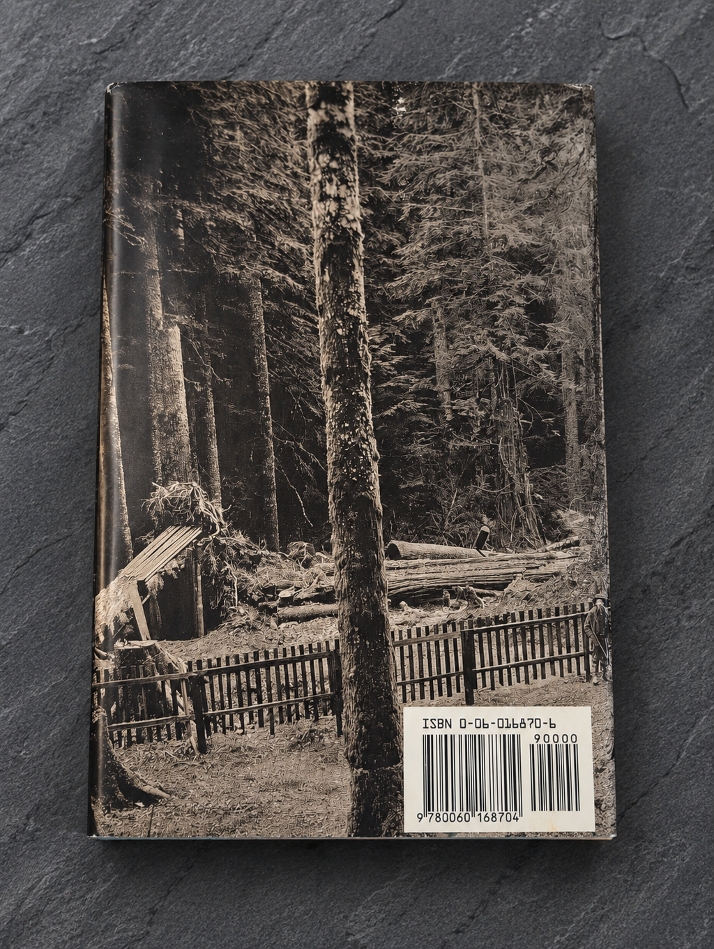 Found Object No.0049.26, New Orleans, The Living by Annie Dillard