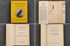 Found Object No. 0041.26 California, Flush by Virginia Woolf