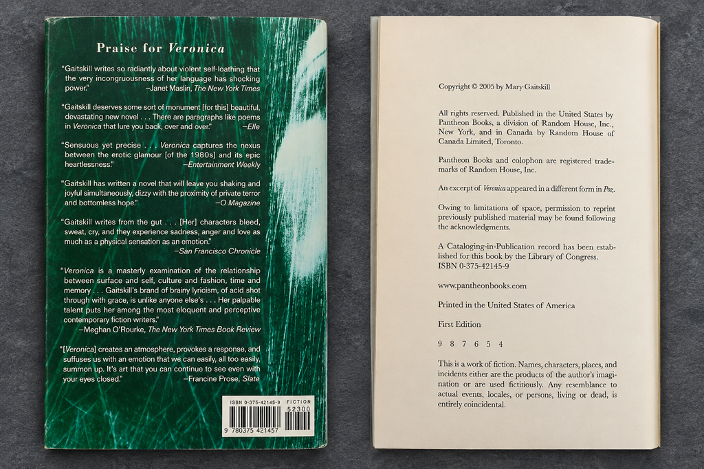 Found Object No.0040.26 New York City, Veronica by Mary Gaitskill