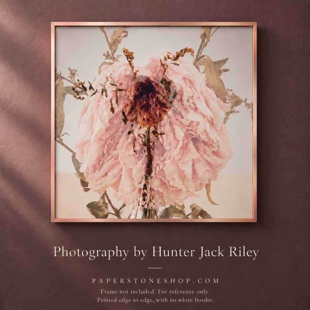 FLORAL DECAY No. 1 (Light) By Hunter Jack Riley | 12”x12”