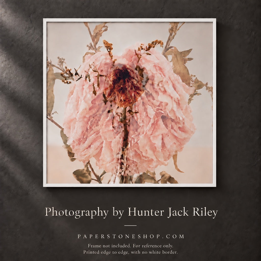 FLORAL DECAY No. 1 (Light) By Hunter Jack Riley | 12”x12”
