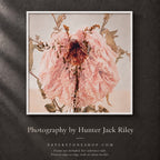 FLORAL DECAY No. 1 (Light) By Hunter Jack Riley | 12”x12”