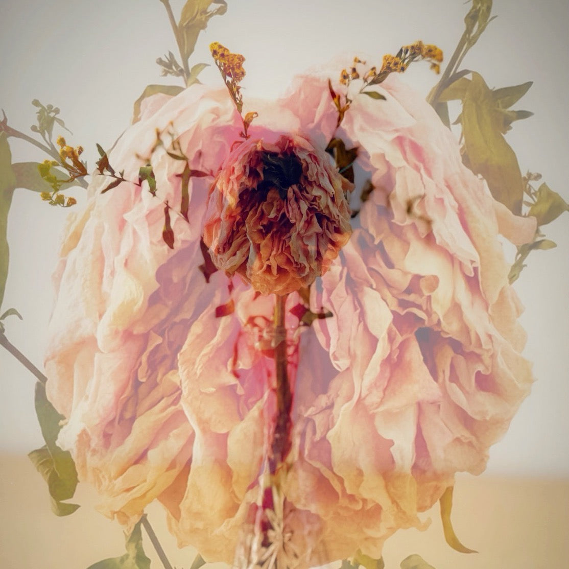 FLORAL DECAY No. 3 (Bright) By Hunter Jack Riley | 12”x12”