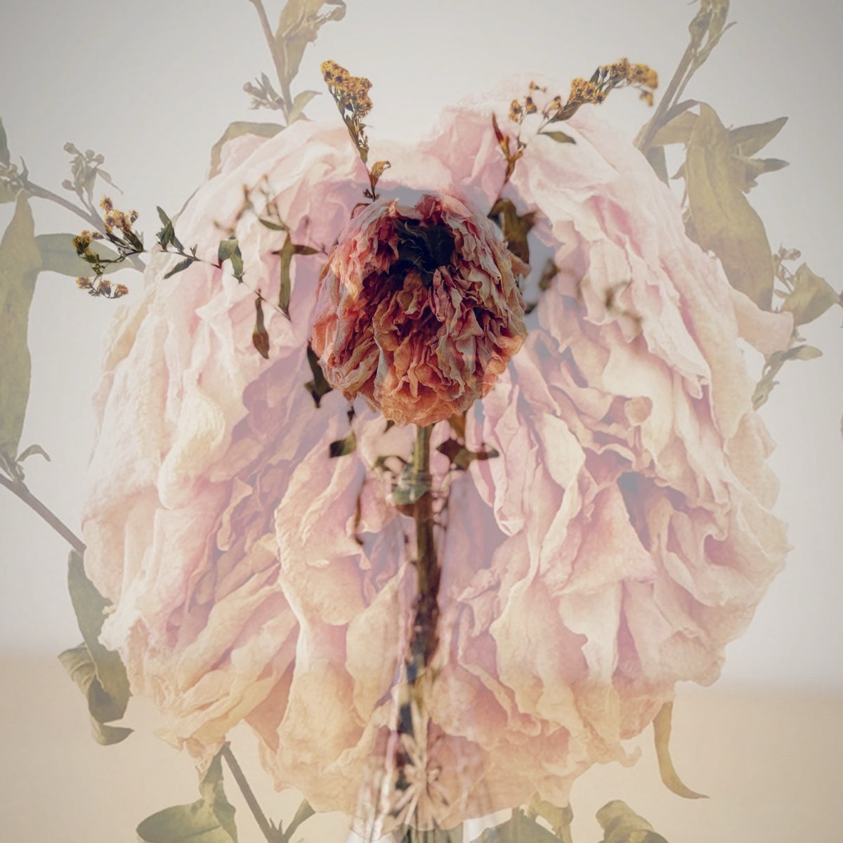 FLORAL DECAY No. 1 (Light) By Hunter Jack Riley | 12”x12”
