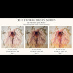 FLORAL DECAY No. 3 (Bright) By Hunter Jack Riley | 12”x12”