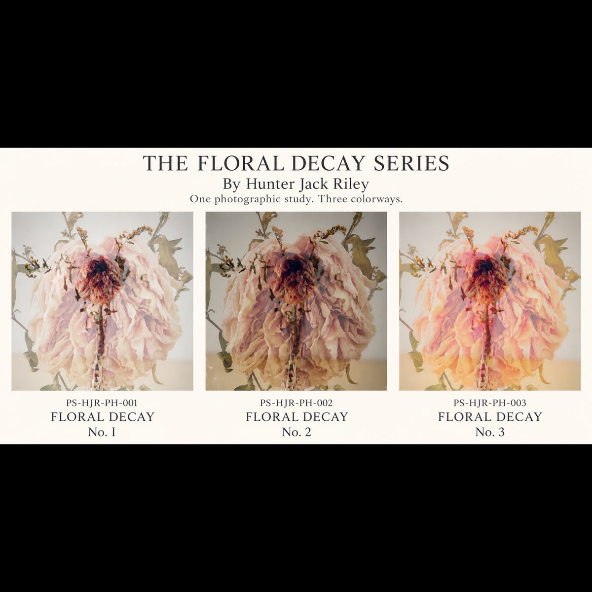 FLORAL DECAY No. 3 (Bright) By Hunter Jack Riley | 12”x12”
