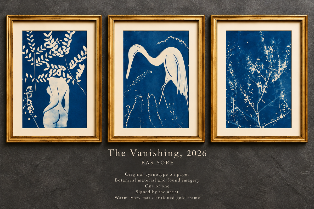 The Vanishing, 2026