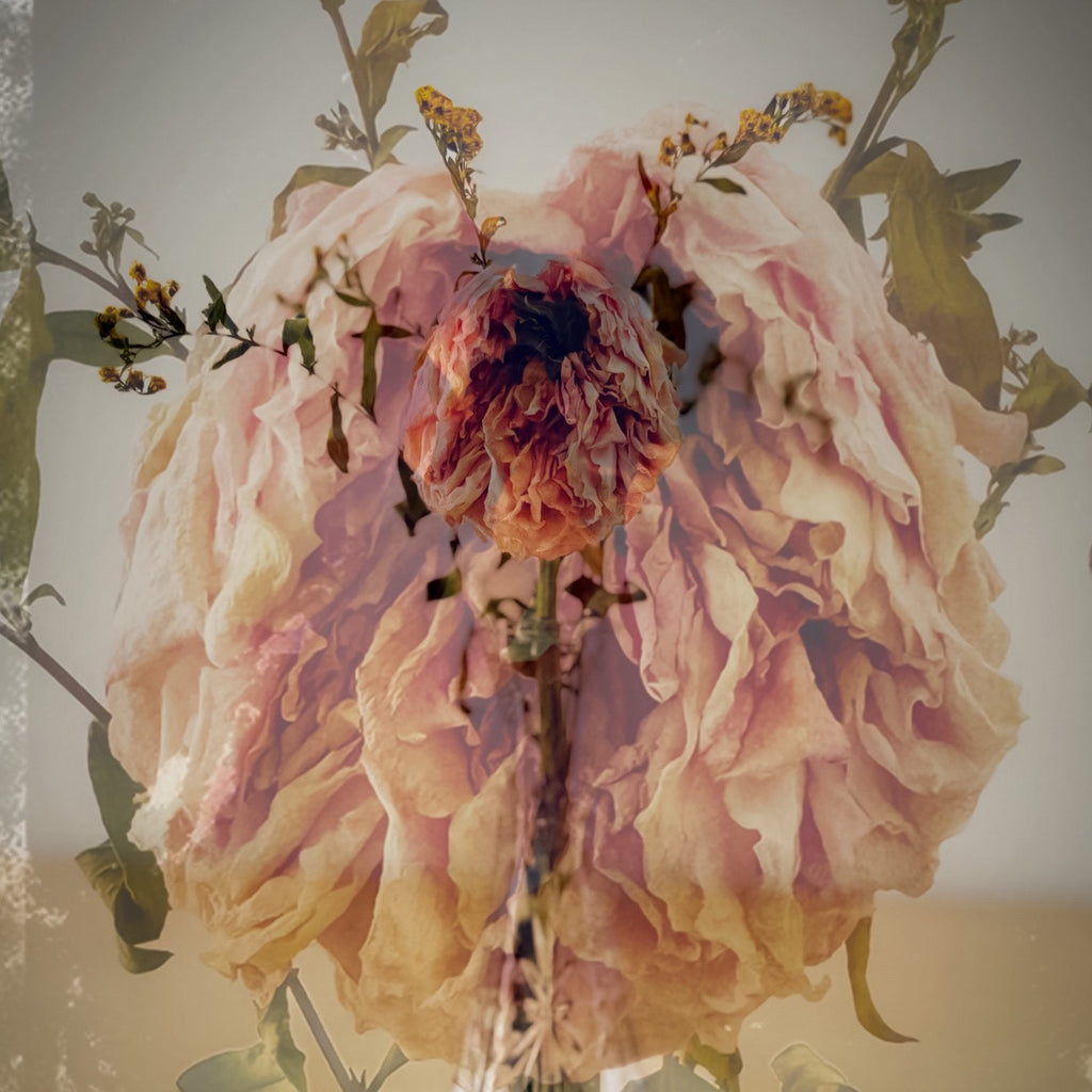 FLORAL DECAY No. 2 (Dark) By Hunter Jack Riley | 12”x12”