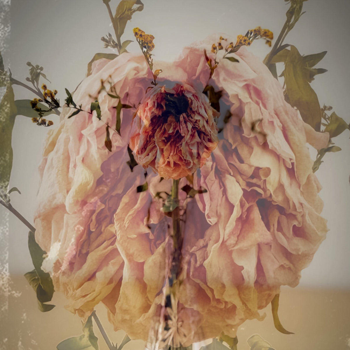 FLORAL DECAY No. 2 (Dark) By Hunter Jack Riley | 12”x12”
