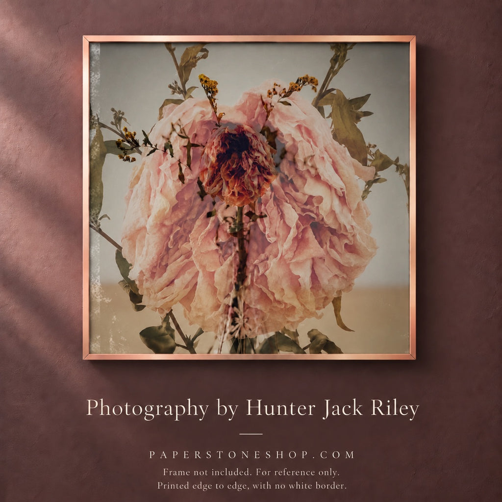 FLORAL DECAY No. 2 (Dark) By Hunter Jack Riley | 12”x12”
