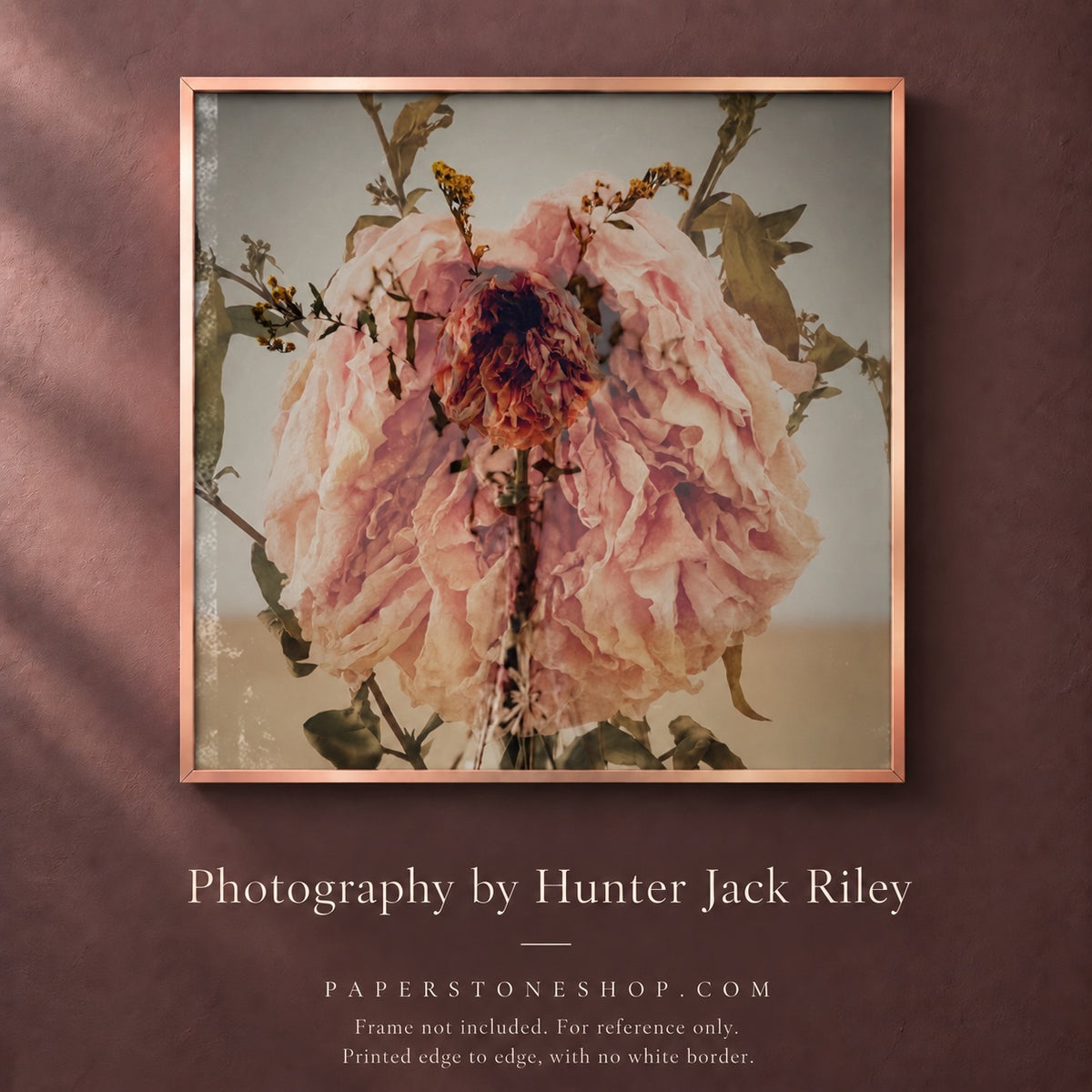 FLORAL DECAY No. 2 (Dark) By Hunter Jack Riley | 12”x12”