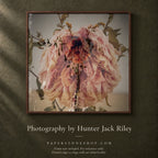 FLORAL DECAY No. 2 (Dark) By Hunter Jack Riley | 12”x12”