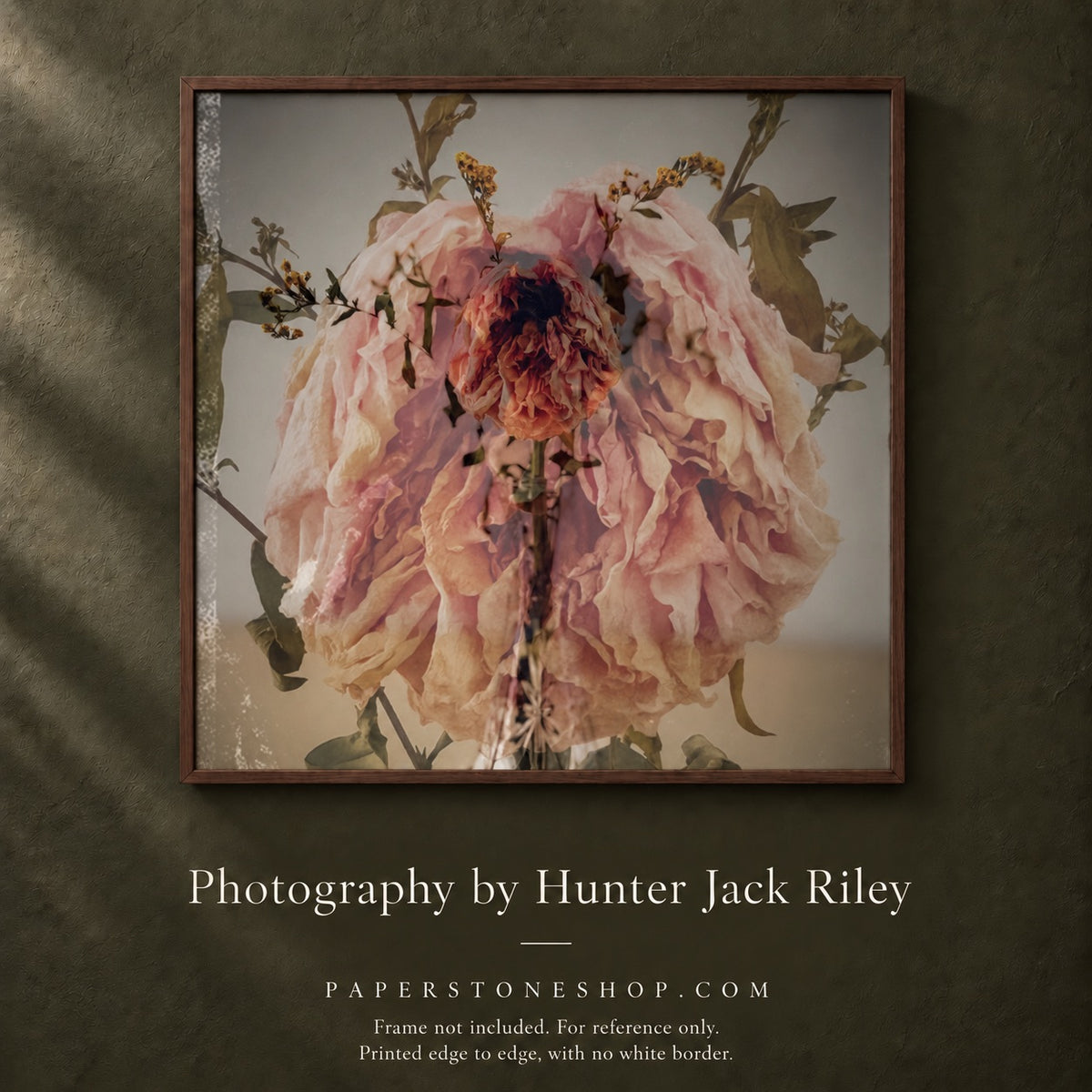 FLORAL DECAY No. 2 (Dark) By Hunter Jack Riley | 12”x12”