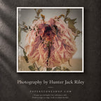FLORAL DECAY No. 2 (Dark) By Hunter Jack Riley | 12”x12”