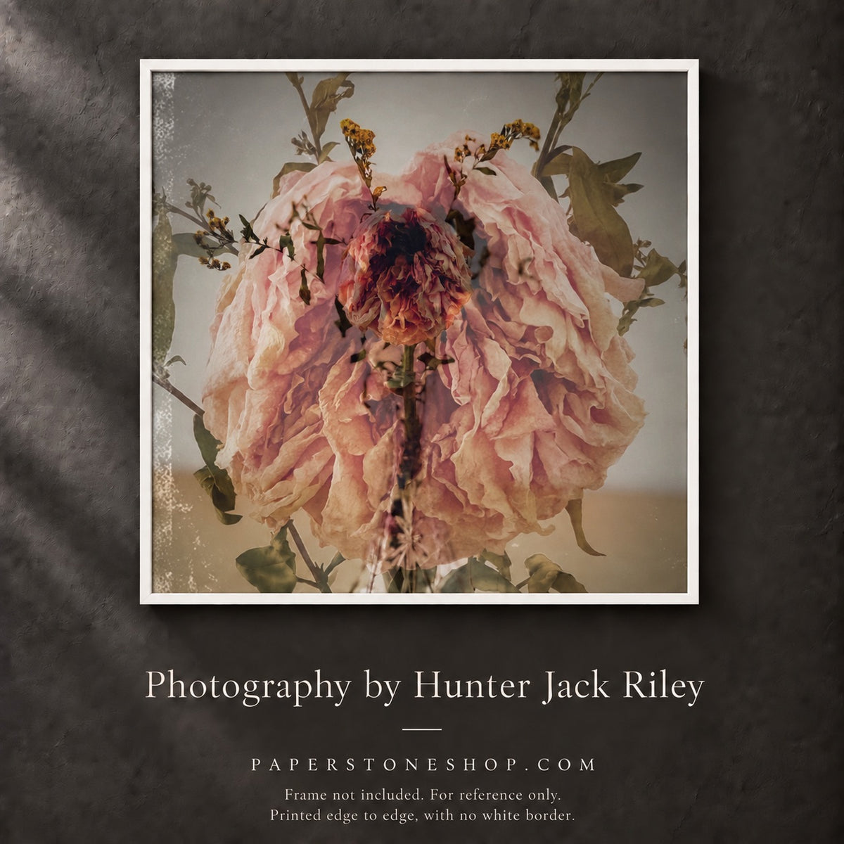 FLORAL DECAY No. 2 (Dark) By Hunter Jack Riley | 12”x12”