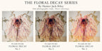 FLORAL DECAY No. 2 (Dark) By Hunter Jack Riley | 12”x12”