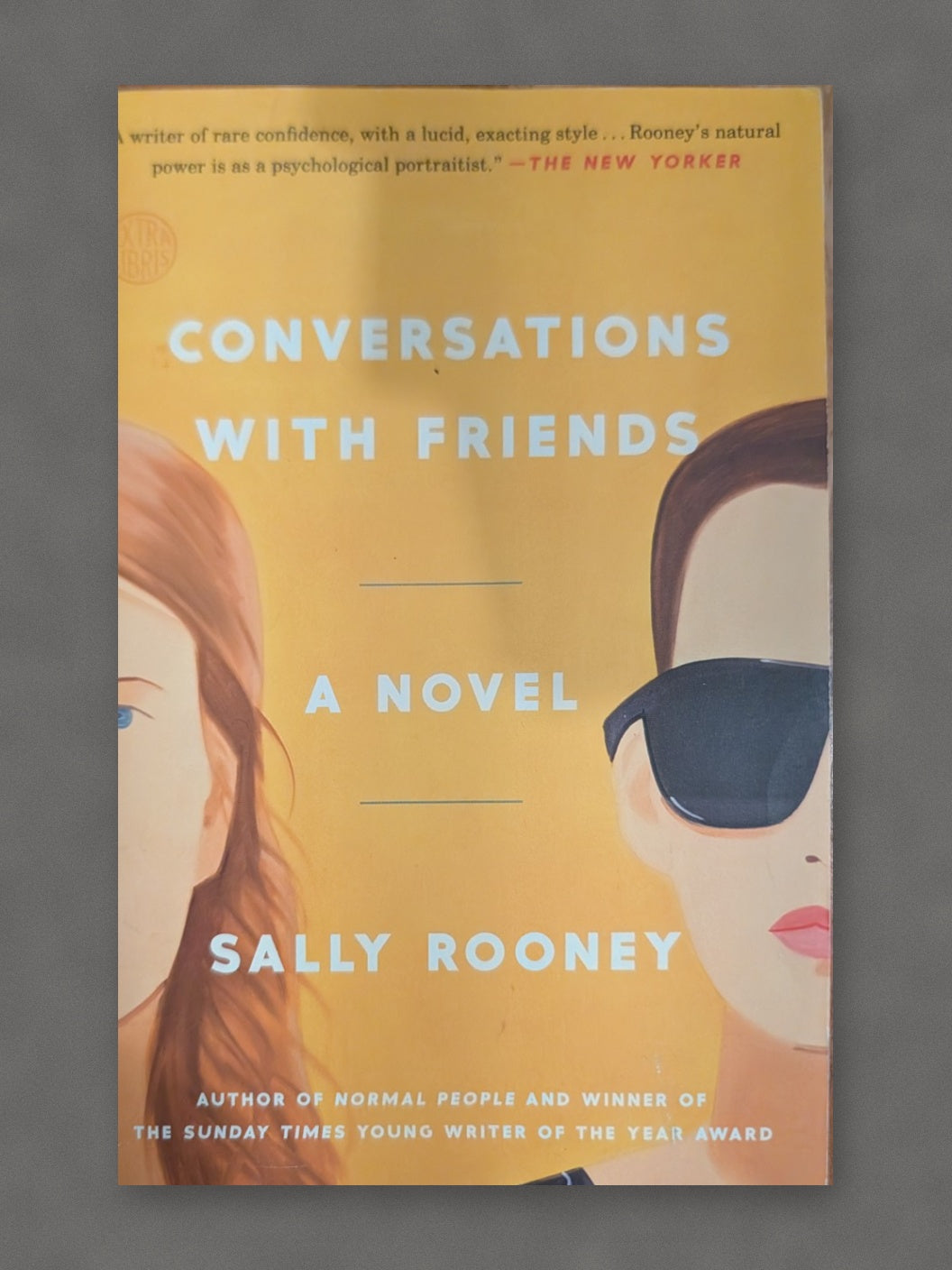 Conversations with Friends book cover on gray slate background
