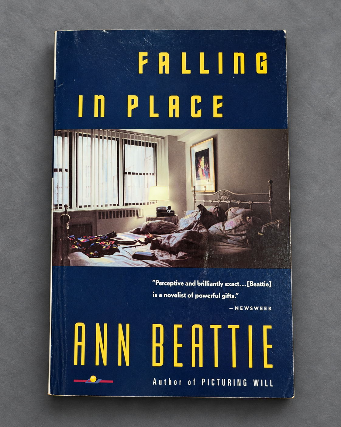 Falling in Place book cover on gray slate background