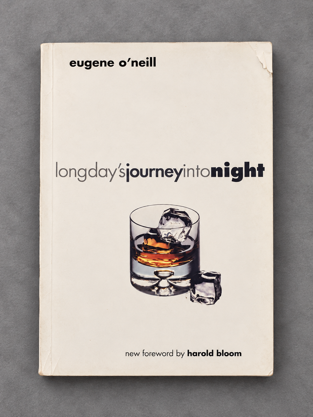Long Day's Journey into Night book cover on gray slate background