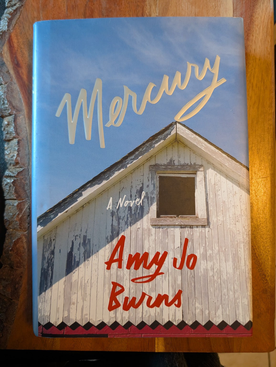 Mercury by Amy Jo Burns — actual copy