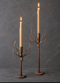 Found Object: No. 0028.26, New Orleans, LA, Deer Antler Candle Holder