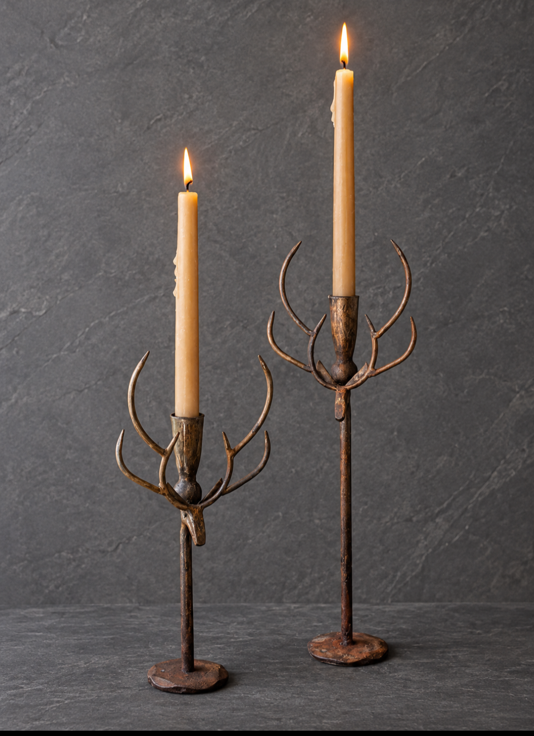 Found Object: No. 0028.26, New Orleans, LA, Deer Antler Candle Holder