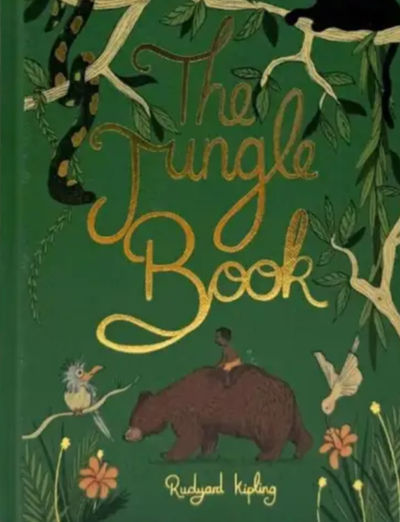The Jung Book